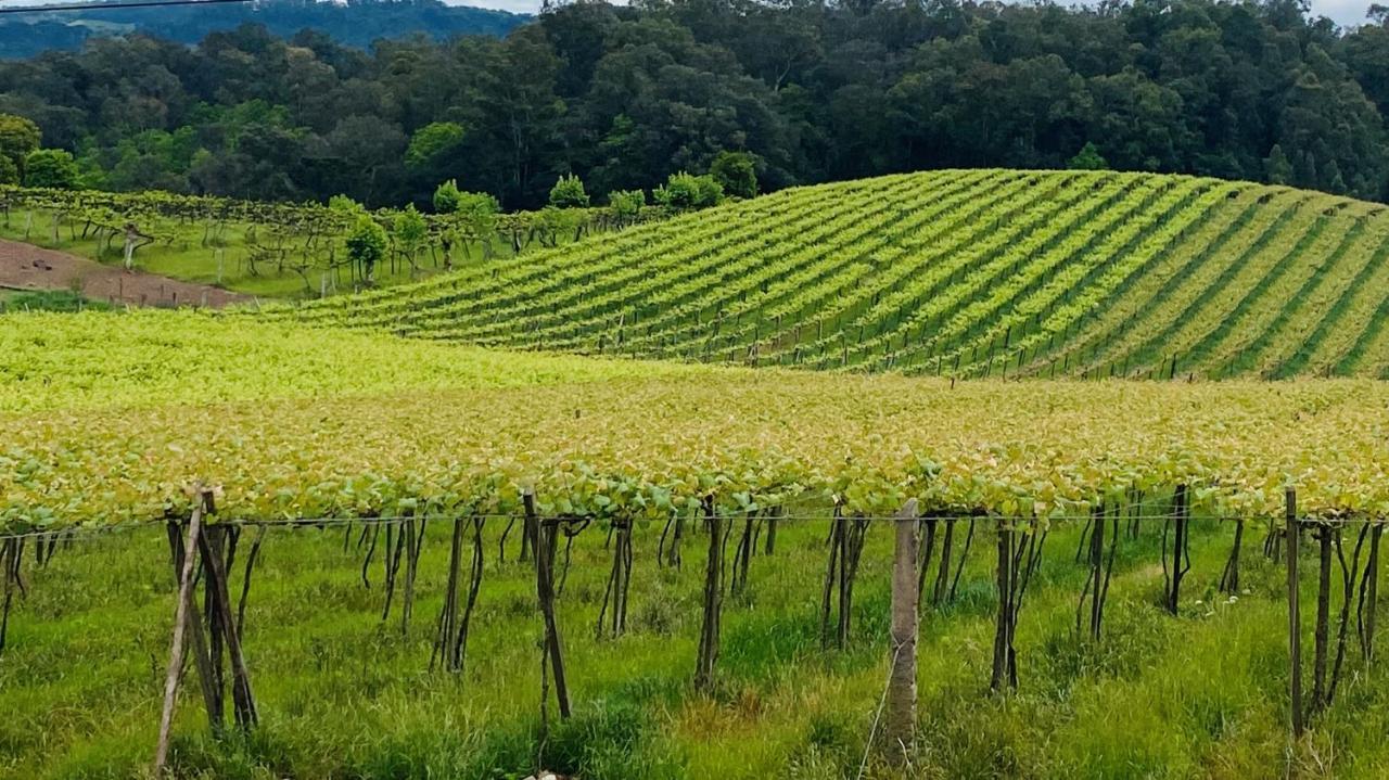 Vista Vigneti Albergo & Vino - Vale Dos Vinhedos Bento Gonçalves Dış mekan fotoğraf