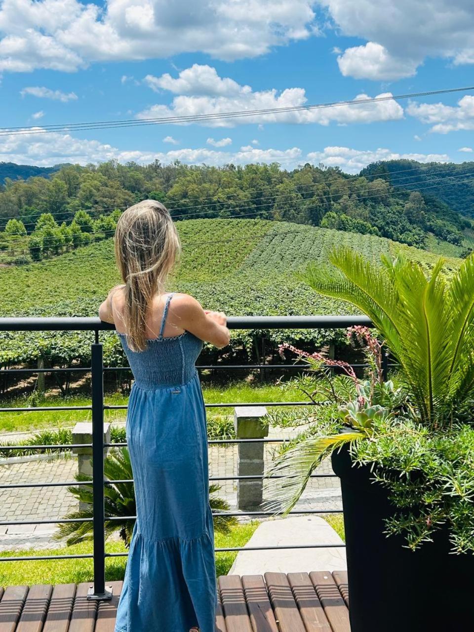 Vista Vigneti Albergo & Vino - Vale Dos Vinhedos Bento Gonçalves Dış mekan fotoğraf